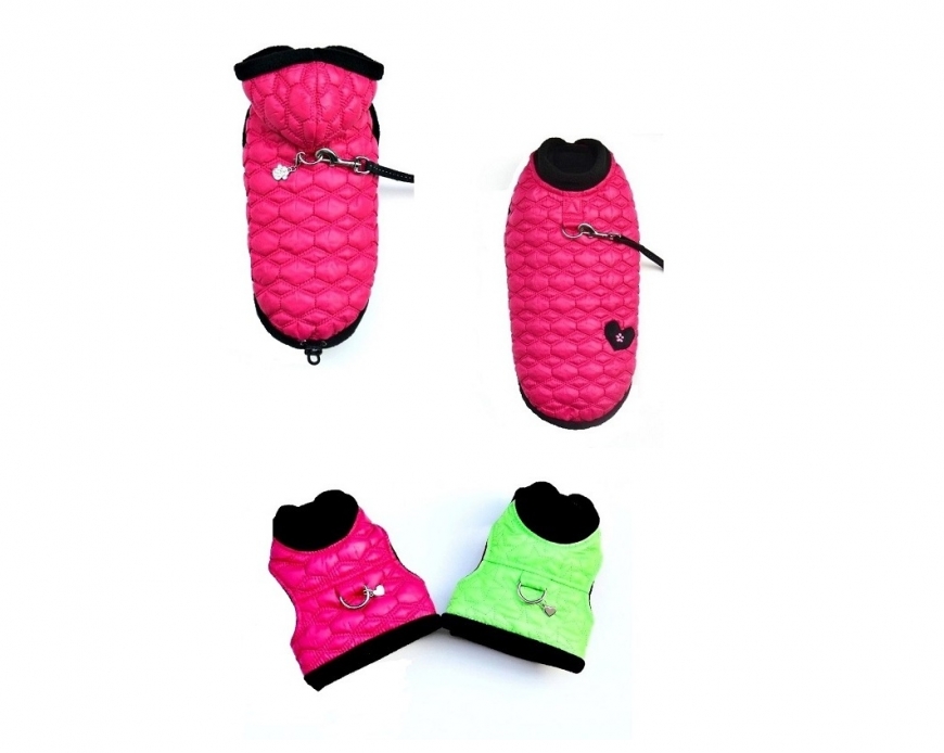 Do zimy ve výrazných barvách